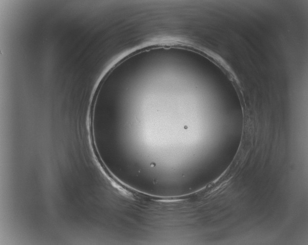 X0000060571343200511071009