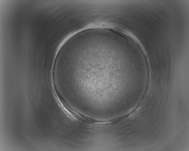 X0000060571344200511071009