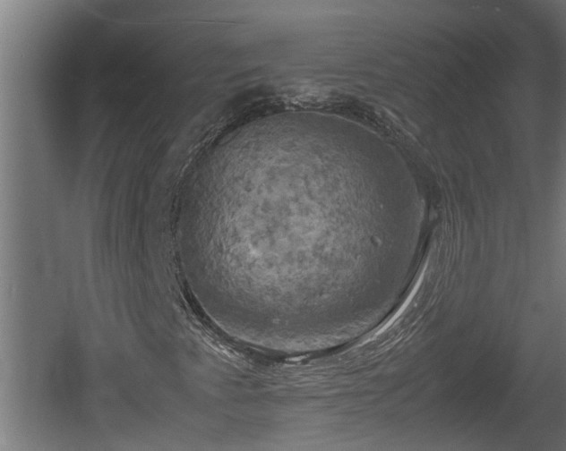 X0000060571345200511071008