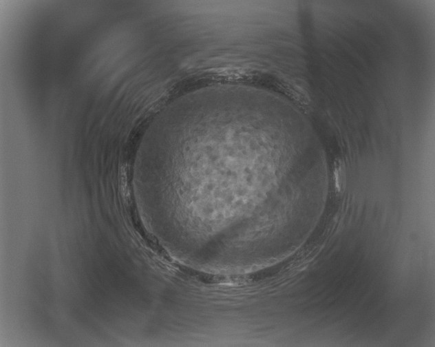 X0000060571347200511071008