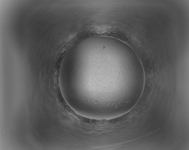 X0000060571349200511071008