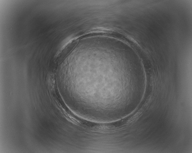 X0000060571355200511071008