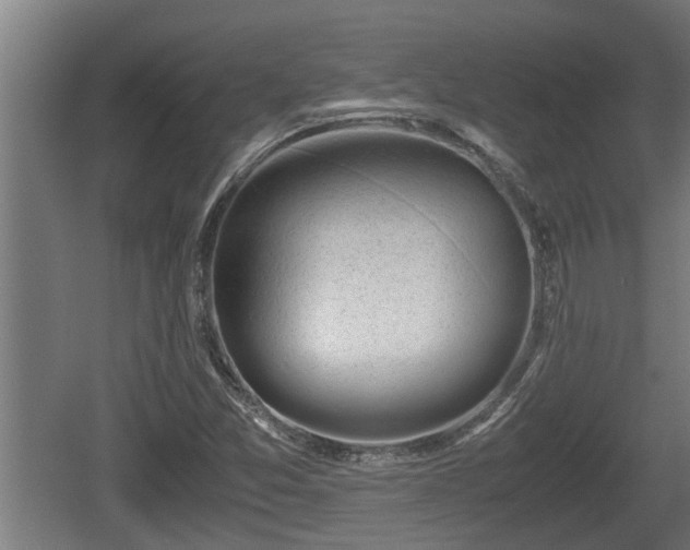 X0000060571357200511071008