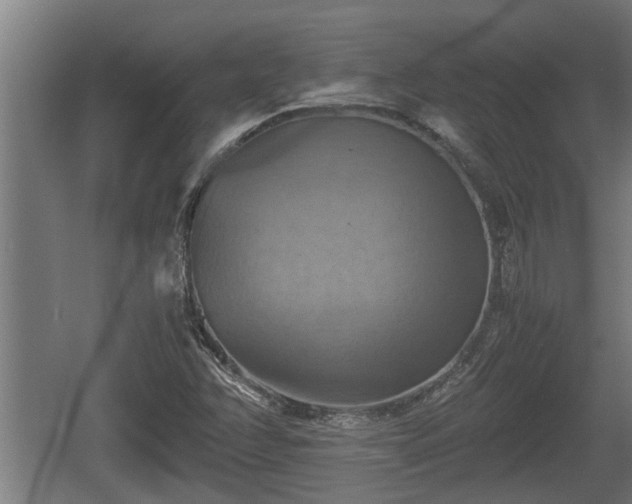 X0000060571358200511071008