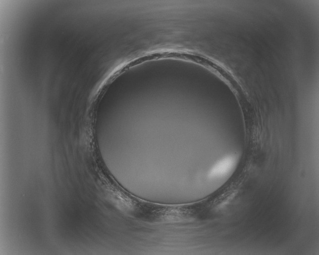 X0000060571359200511071008