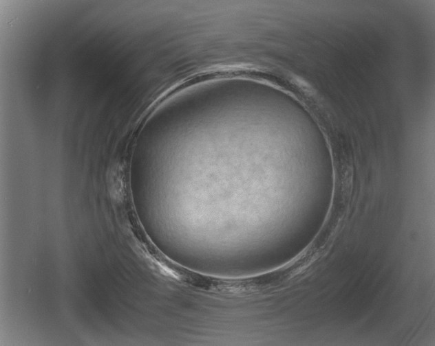 X0000060571361200511071008