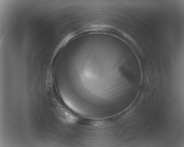 X0000060571362200511071008