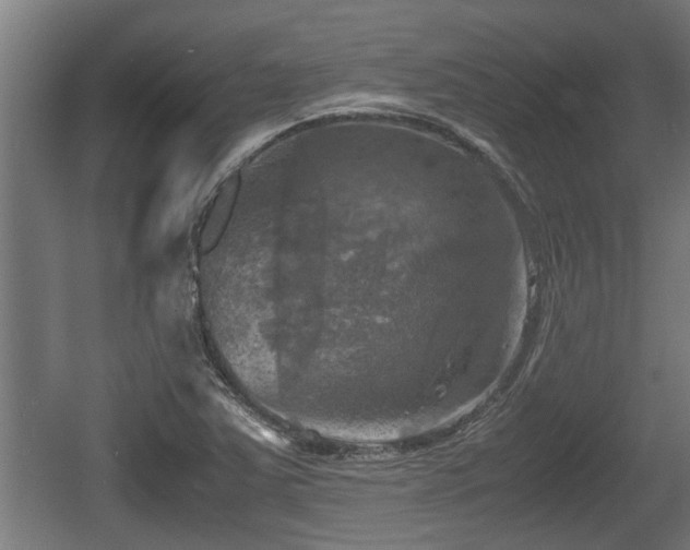 X0000060571363200511071008