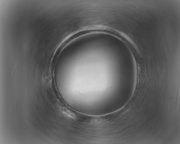 X0000060571364200511071008