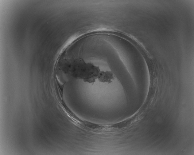 X0000060571367200511071008