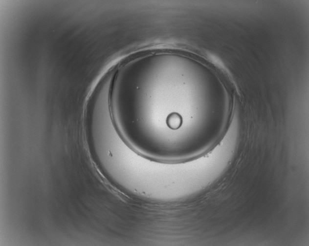 X0000060571368200511071008