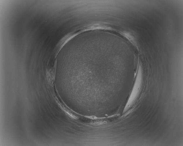 X0000060571369200511071008