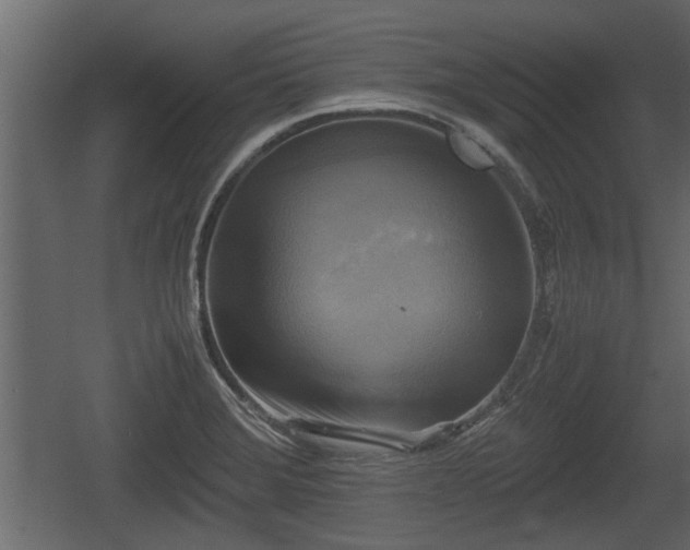 X0000060571372200511071008