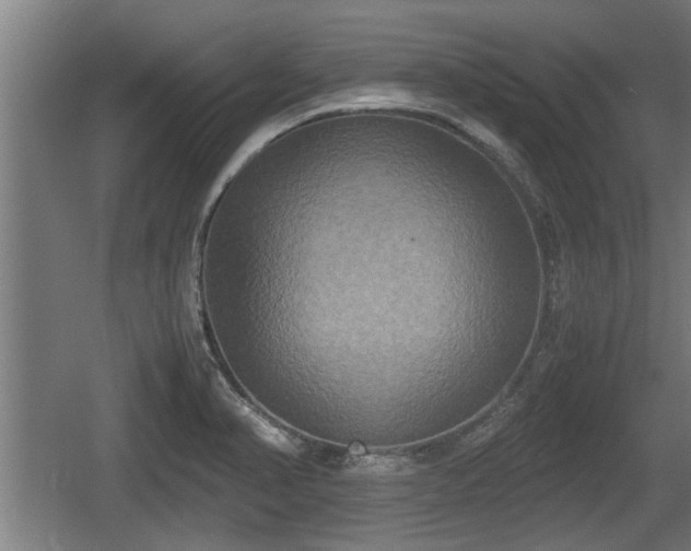 X0000060571374200511071008