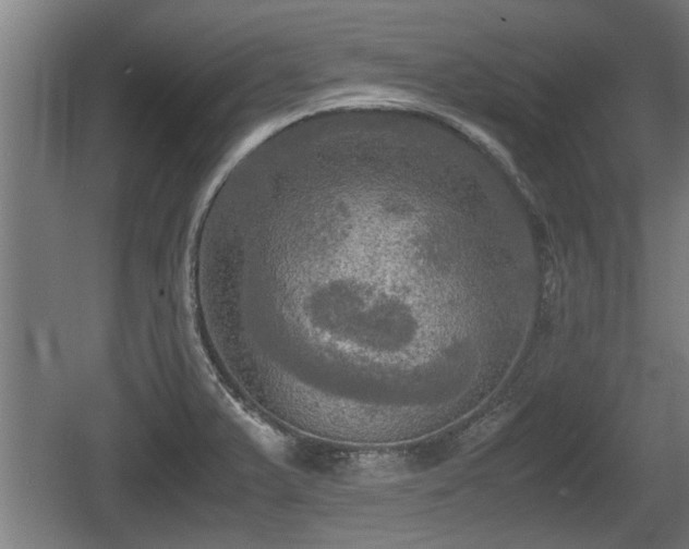 X0000060571375200511071008