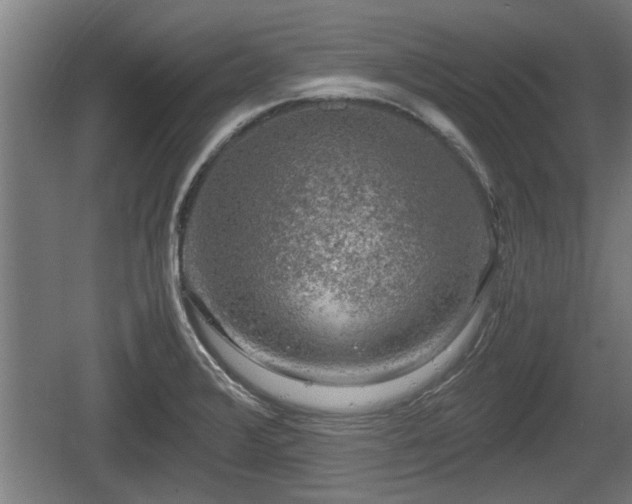 X0000060571376200511071008