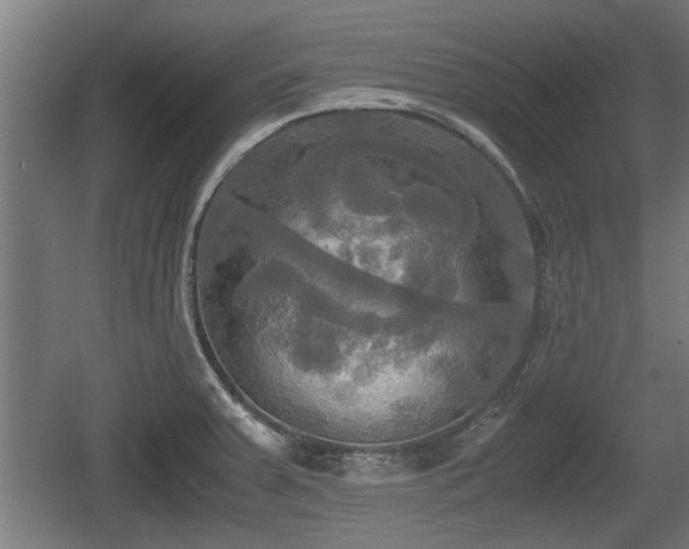 X0000060571379200511071007