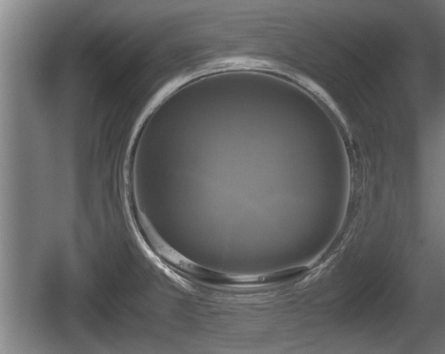 X0000060571381200511071007