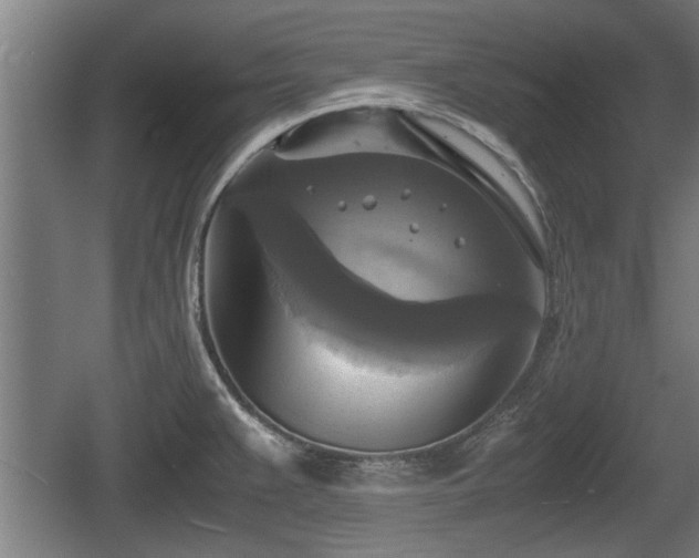 X0000060571383200511071007