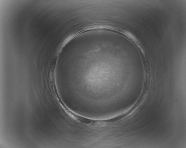 X0000060571385200511071007