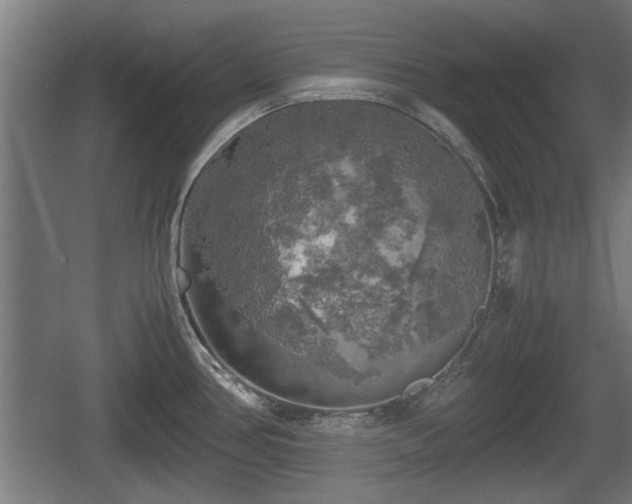 X0000060571386200511071007