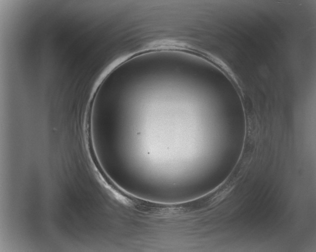 X0000060571387200511071007