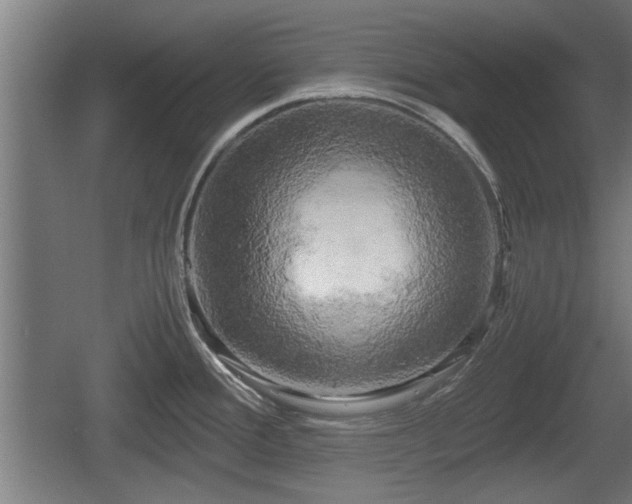 X0000060571388200511071007