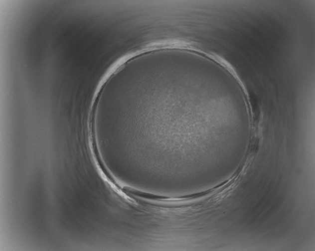 X0000060571389200511071007