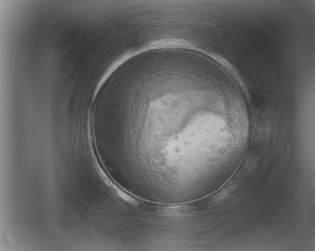 X0000060571390200511071007