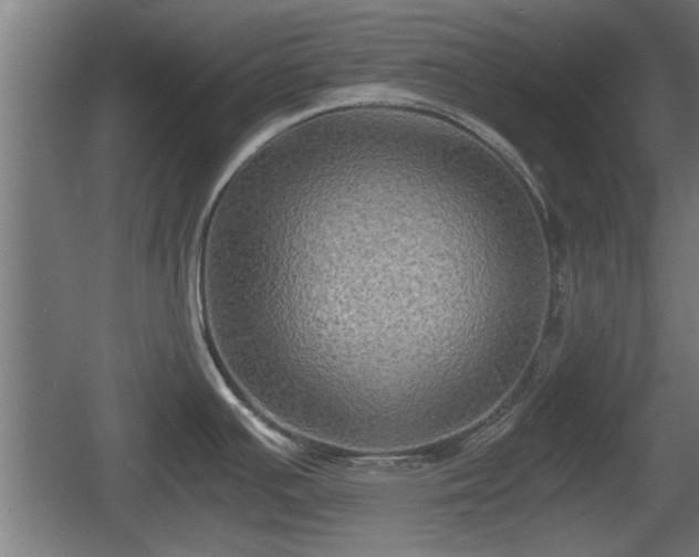 X0000060571391200511071007