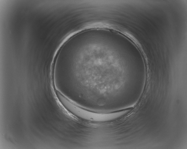 X0000060571392200511071007