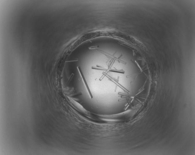 X0000060571398200511071007