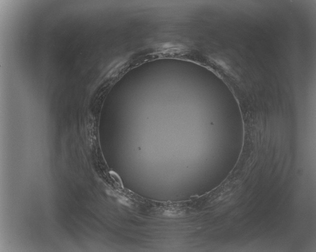 X0000060571399200511071007