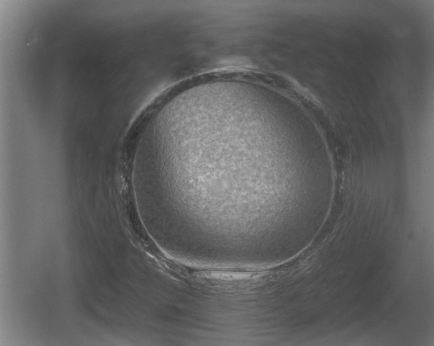 X0000060571400200511071007