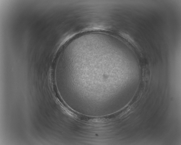 X0000060571404200511071007