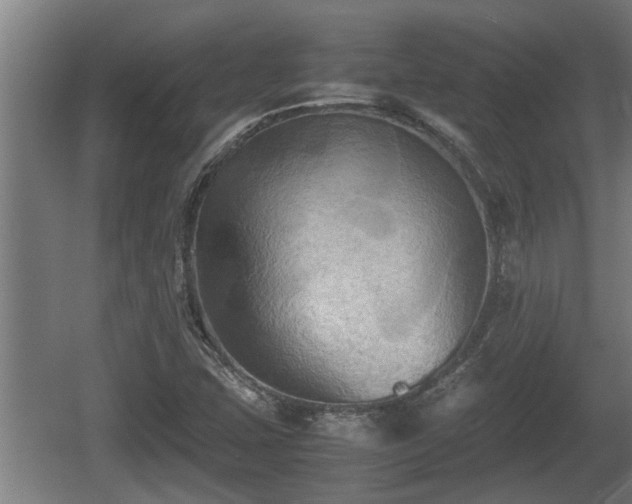 X0000060571407200511071007