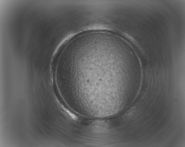 X0000060571408200511071007