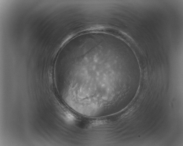 X0000060571409200511071007