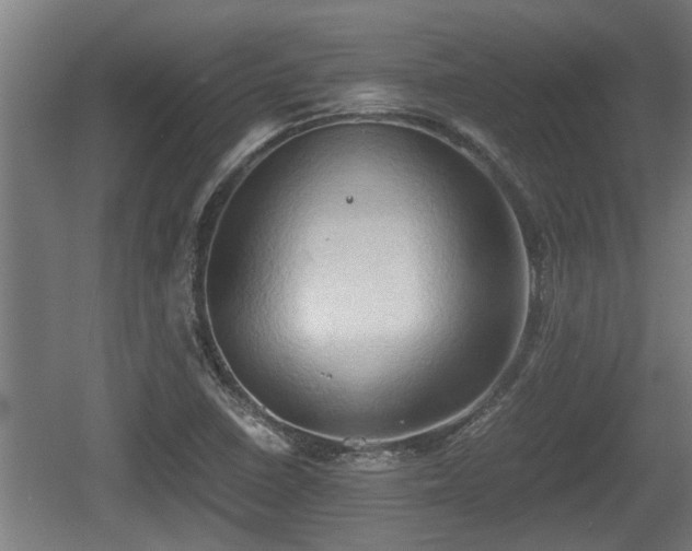 X0000060571410200511071007