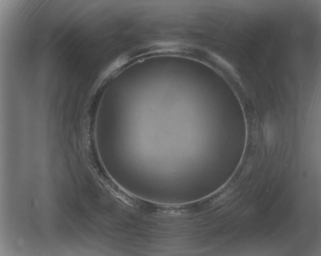 X0000060571411200511071007