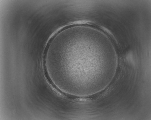 X0000060571412200511071007