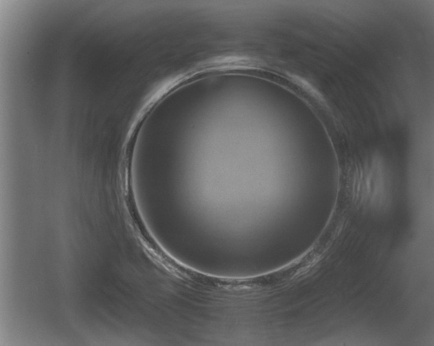 X0000060571413200511071007