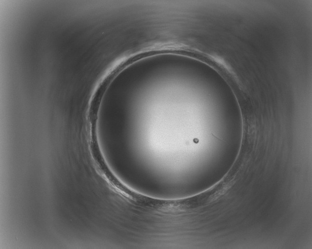 X0000060571414200511071007