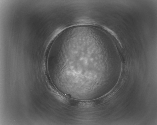 X0000060571415200511071007