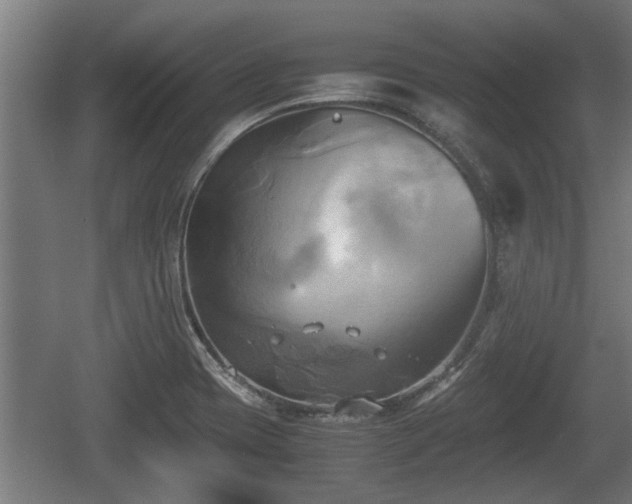 X0000060571417200511071007