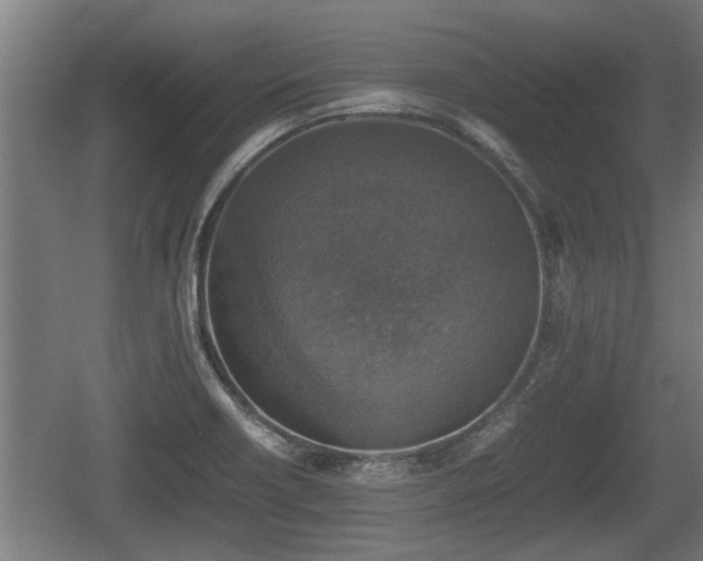 X0000060571418200511071007