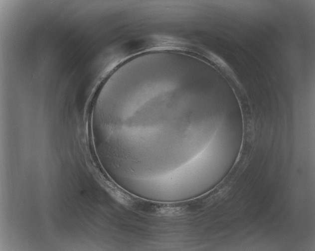 X0000060571419200511071007