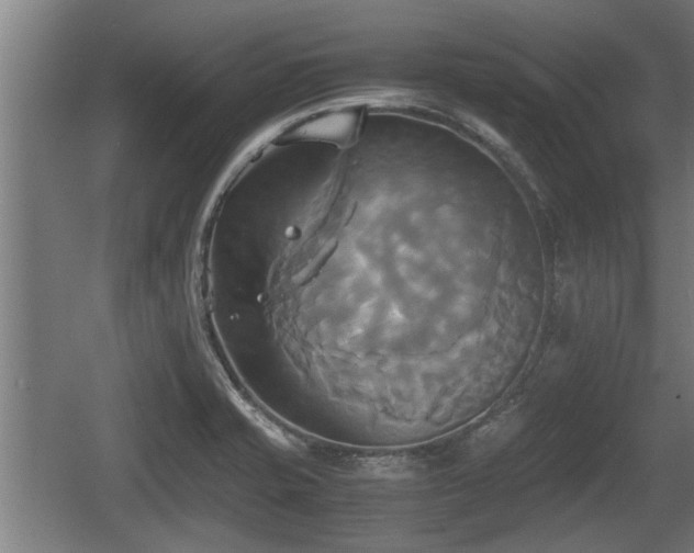 X0000060571421200511071007