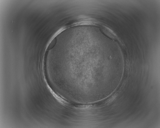 X0000060571426200511071007