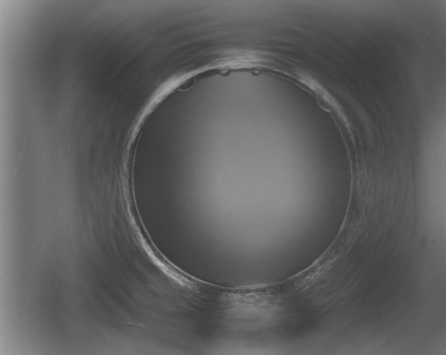 X0000060571429200511071007